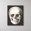 Suche nach menschliche anatomie leinwandbilder Schädel