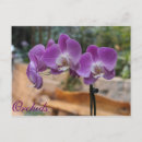 Suche nach orchidee postkarten Flora