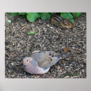 Suche nach chipmunk poster Chipmack