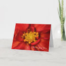 Suche nach orange dahlie karten Für alle