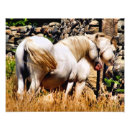 Suche nach ponys kunst Für alle