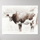 Suche nach töne poster Fotografie