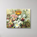 Suche nach rosa orchidee leinwandbilder Grün