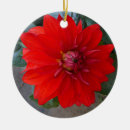 Suche nach chrysanthemen ornamente Für alle