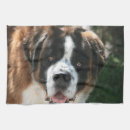 Suche nach bernhardiner hund wohnen zuhause Jede person