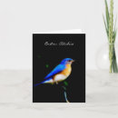 Suche nach schnabel postkarten Vogel