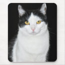 Suche nach schwarz weiße katze mousepads Tier