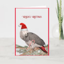 Suche nach kongo karten Vogelvogel