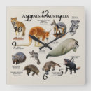 Suche nach australia wanduhren Animal