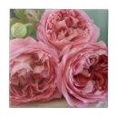 Suche nach alte rose fliesen Rosen