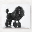 Suche nach pudel mousepads Schwarzes
