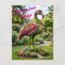 Suche nach grüße von florida postkarten Flamingo