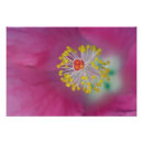 Suche nach flora poster Rot