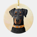 Suche nach dobermann pinscher ornamente Für alle