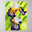 Suche nach iris aquarell poster Bunt