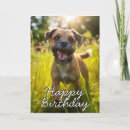 Suche nach border terrier karten Grenzstreifer
