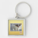 Suche nach fell schlüsselanhänger Ich kann habe cheezburger