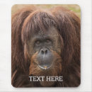 Suche nach borneo mousepads Orang utans