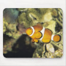 Suche nach allgemein mousepads Natur