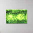 Suche nach zellen leinwandbilder Biowissenschaft