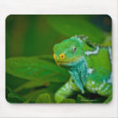 Suche nach grüne eidechsen mousepads Natur