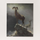 Suche nach sheep puzzle Nationalpark