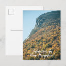 Suche nach alter baum postkarten Fotografie