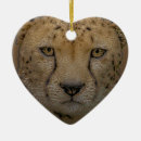 Suche nach gepard ornamente Für alle