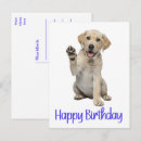 Suche nach gelbes labrador retriever postkarten Geburtstag