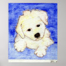 Suche nach bichon frises poster Hund