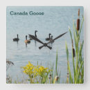 Suche nach schwanz wanduhren Jede person