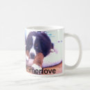 Suche nach bernese Berner