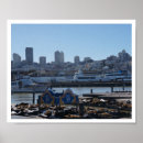 Suche nach seelöwen poster Pier 39