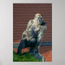 Suche nach für jugendliche poster Schmetterling