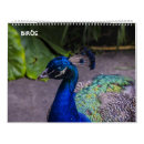 Suche nach vögel kalender Enten