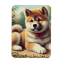 Suche nach akita magnete Hund