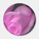 Suche nach duft magnete Rosa