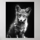 Suche nach weißer fuchs poster Tierwelt