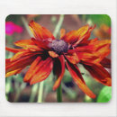 Suche nach orange auge mousepads Blumenreich
