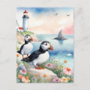 Suche nach puffins postkarten Puffvögel