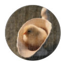 Suche nach chicken schneidebrettchen Hühner