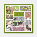 Suche nach vogelfotos magnete Für alle