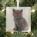 Suche nach kätzchen ornamente Haustier