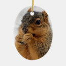 Suche nach eichhörnchen ornamente Tierliebhaber