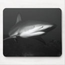 Suche nach haifisch mousepads Meer