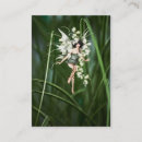 Suche nach mythologisch visitenkarten Fantasie