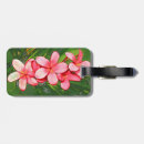 Suche nach frangipani gepäckanhänger Plumeria