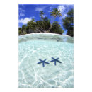 Suche nach palau poster Abgelegen