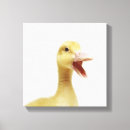 Suche nach schnabel leinwandbilder Tier