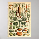 Suche nach vegetables poster Garden